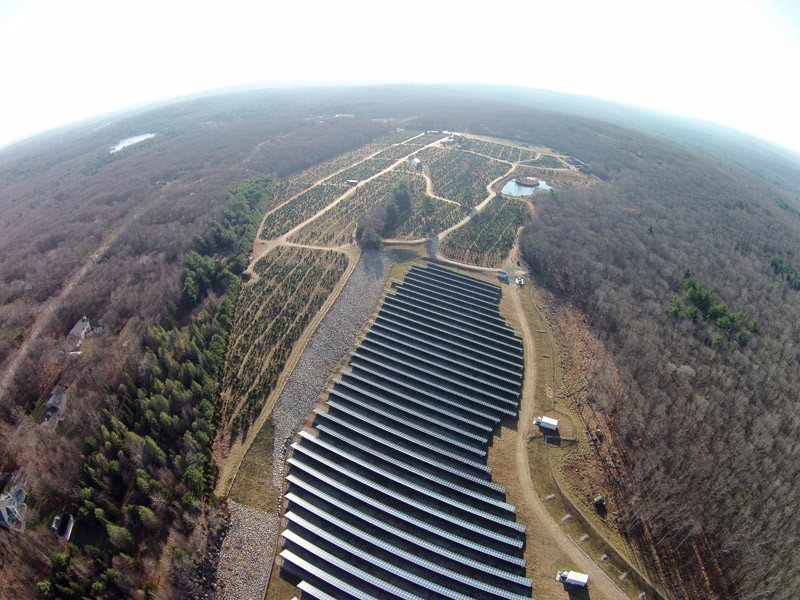 Big John's Tree Farm photo 4