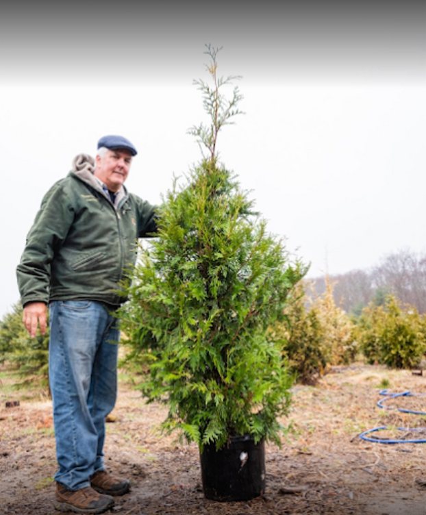 Big John's Tree Farm photo 37
