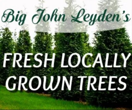 Big John's Tree Farm photo 36