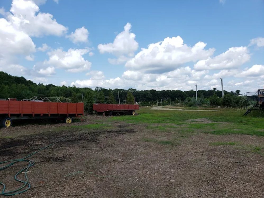 Big John's Tree Farm photo 29