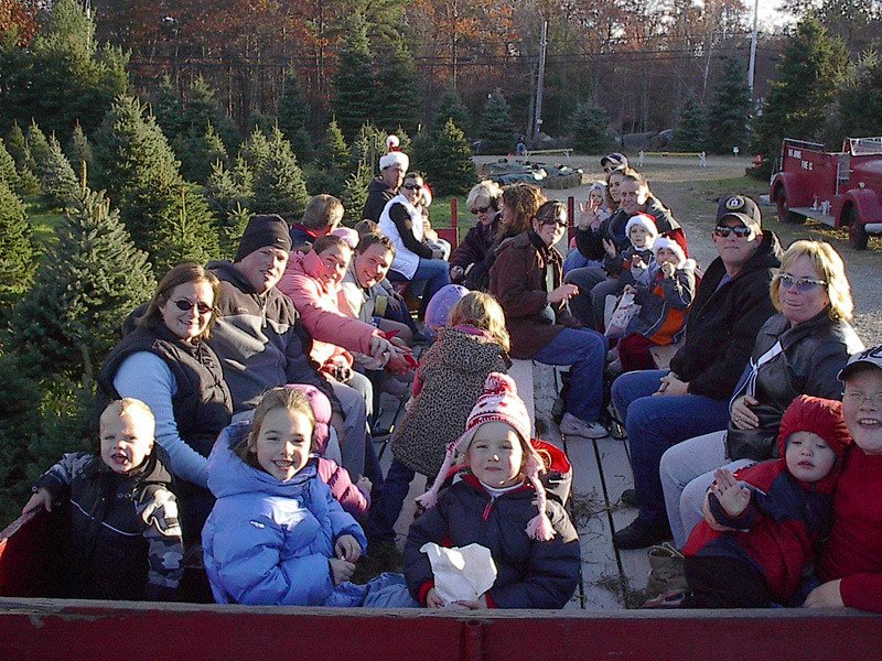 Big John's Tree Farm photo 10