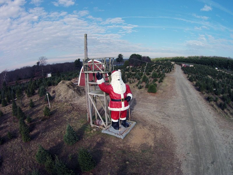 Big John's Tree Farm photo 1