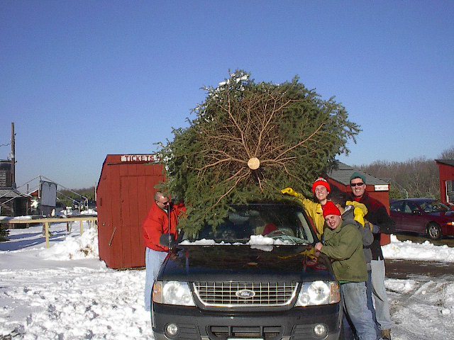 Big John's Tree Farm photo 8