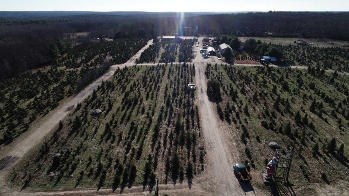 Big John's Tree Farm photo 53