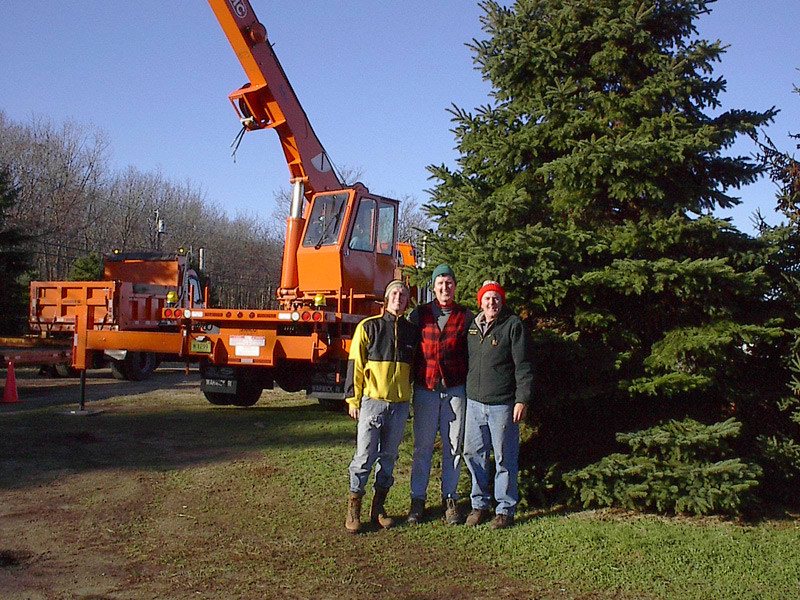 Big John's Tree Farm photo 11