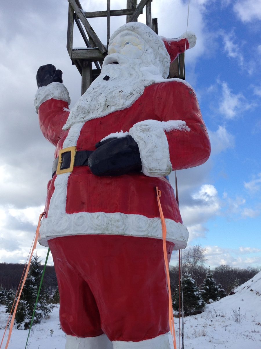 Big John's Tree Farm photo 50