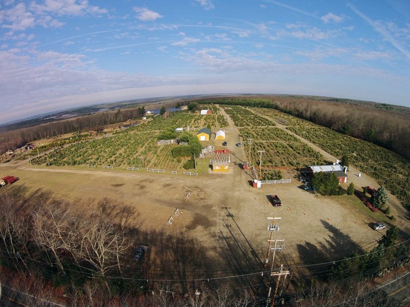 Big John's Tree Farm photo 2